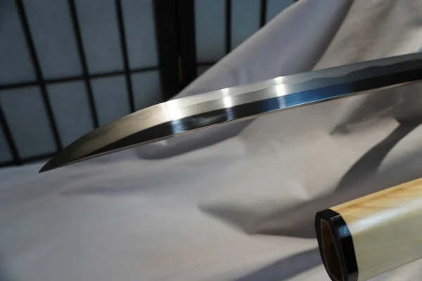 SHIRASAYA [MSP 02] - T1095 steel - Ảnh 5