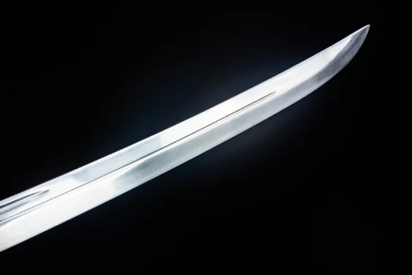 Cẩm Y Vệ - Mangane steel - Ảnh 9